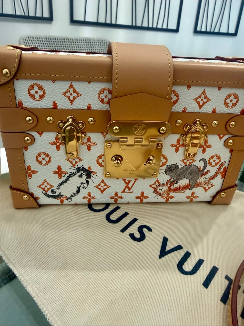 Louis Vuitton Catogram Ultra Rare MiniCrossbody Limited Edition Grace Coddington